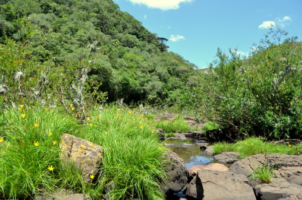 LICENCIAMENTOS AMBIENTAIS